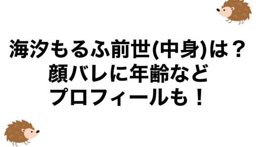 海汐もるふの前世(中身)は？顔バレに年齢などプロフィールも！