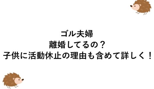 ゴル夫婦は離婚してるの？子供に活動休止の理由も含めて詳しく！