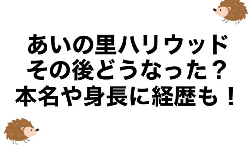 あいの里ハリウッドはその後どうなった？本名や身長に経歴も！