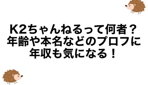 K2ちゃんねるって何者？年齢や本名などのプロフに年収も気になる！