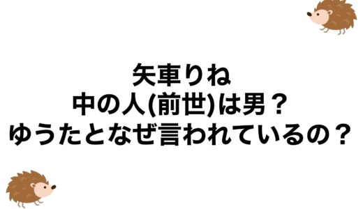 矢車りねの中の人(前世)は男？ゆうたとなぜ言われているの？