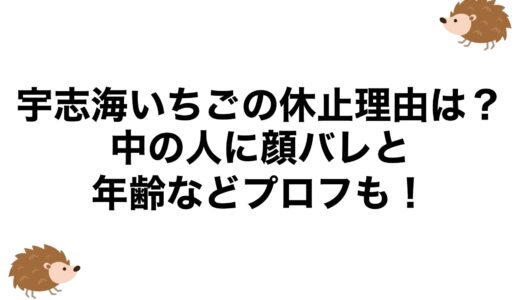 宇志海いちごの休止理由は？中の人に顔バレと年齢などプロフも！