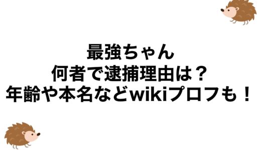 最強ちゃんは何者で逮捕理由は？年齢や本名などwikiプロフも！